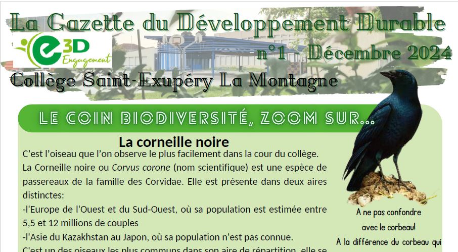 Gazette du Développement Durable n°1